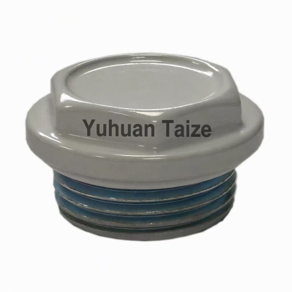 F101 Steel Radiator Plug G1 from Taize radiator parts factory