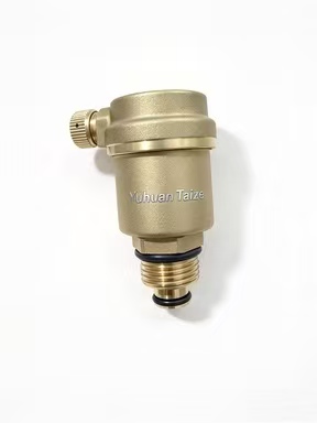 F251 Straight Automatic Air Vent, Side Vent Port from Taize radiator parts factory